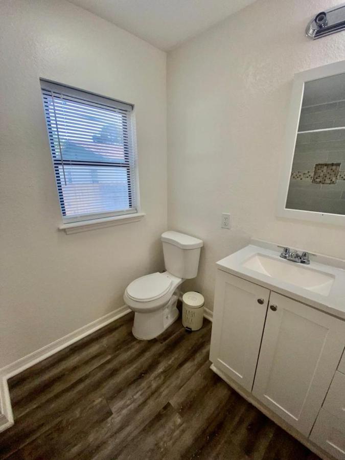 Two Fully Equipped Apartments And A Studio 5 Miles From The Beach St. Petersburg Bagian luar foto